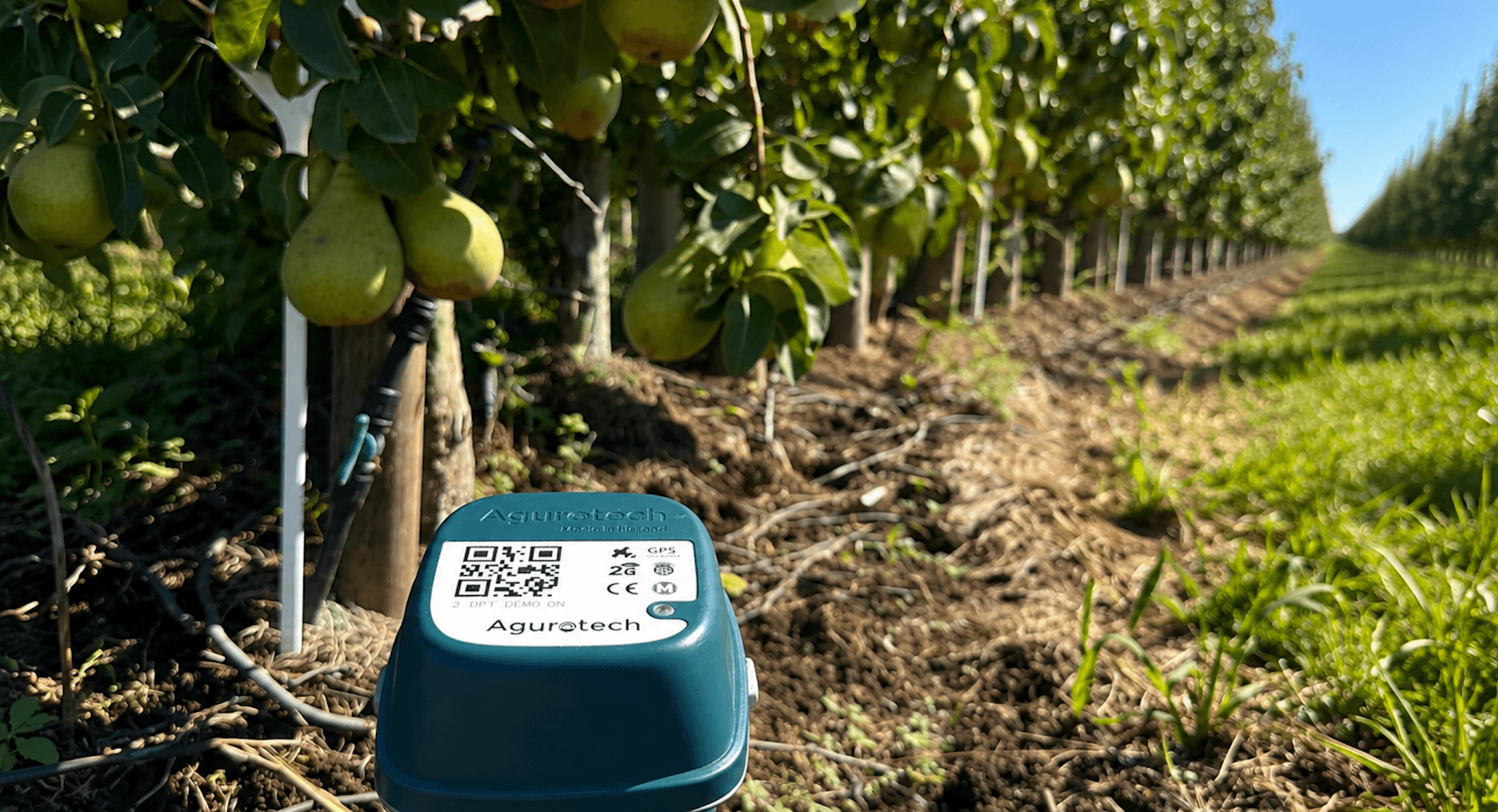 The Risk Growers See Too Late: Why Salinity Needs Realtime Root-Zone Insight