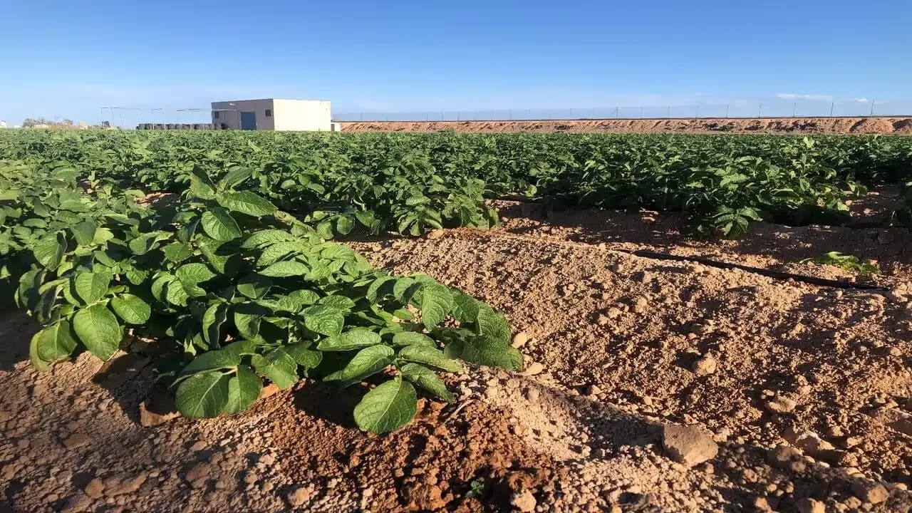 Vrouwelijk ondernemersduo in landbouw en tech: dubbele uitdaging 