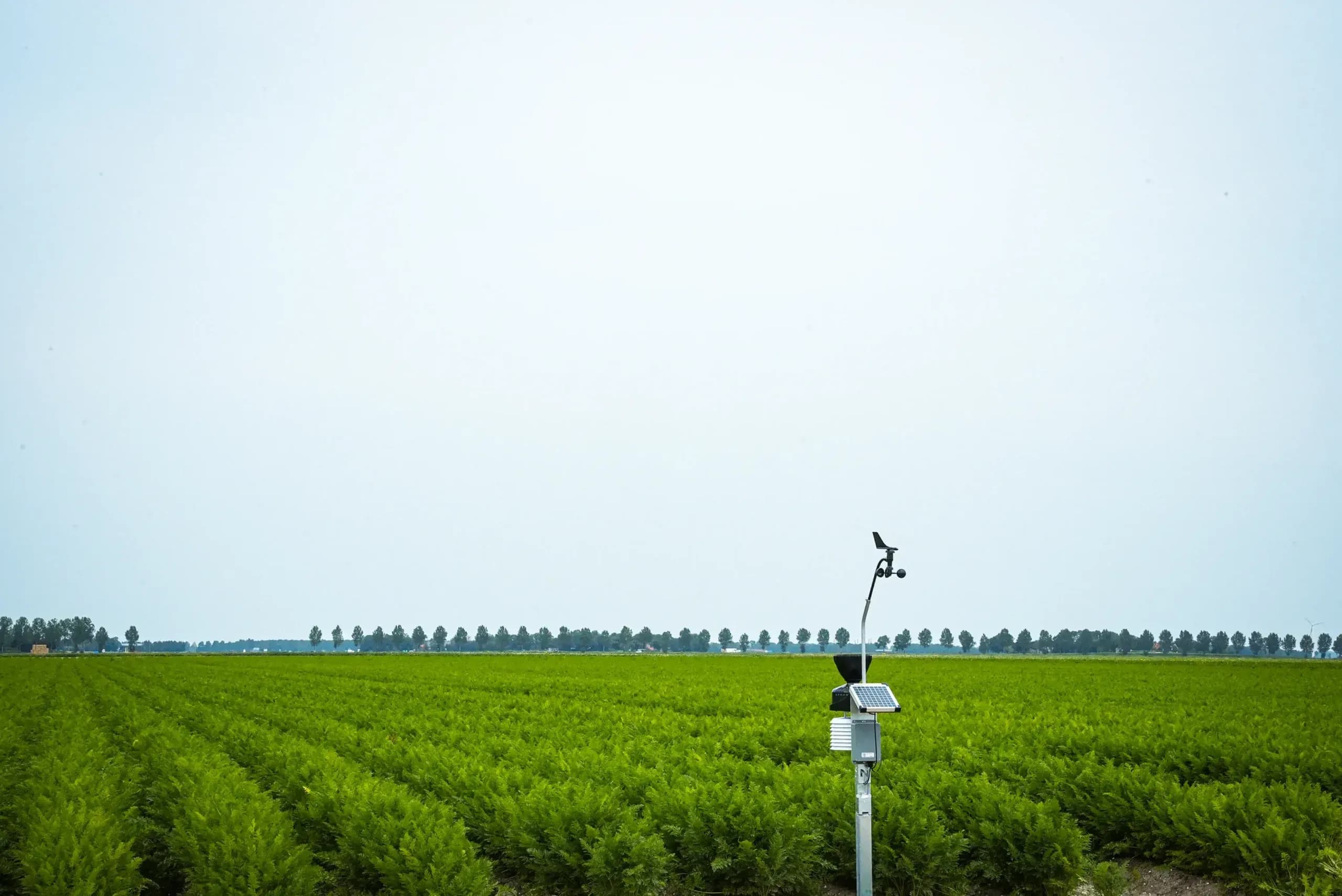 About us hero background