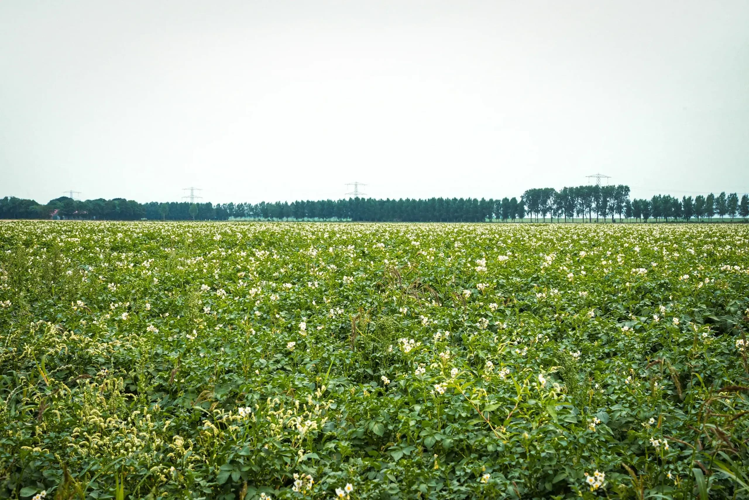 Company vision background 1