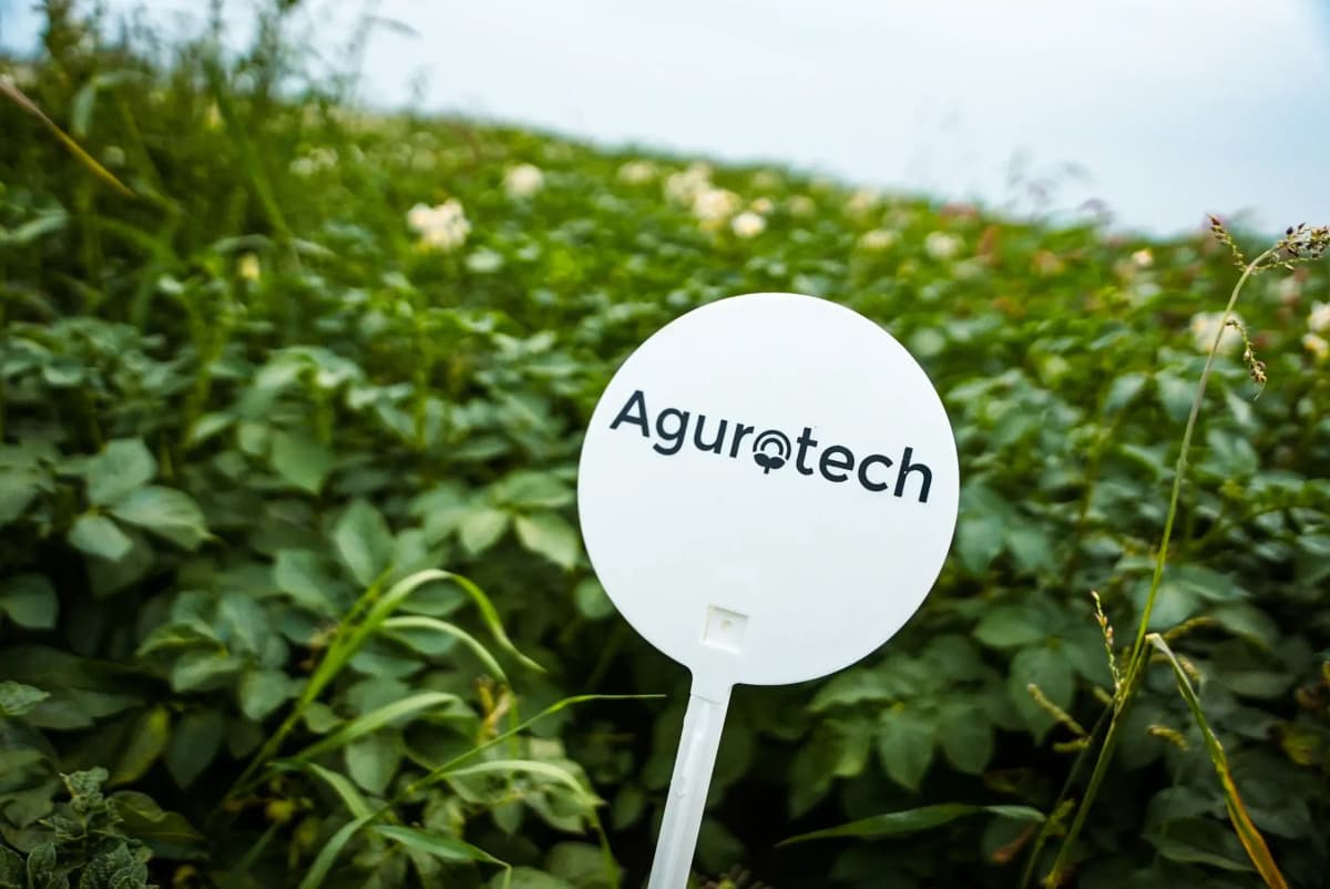 Company vision foreground 1