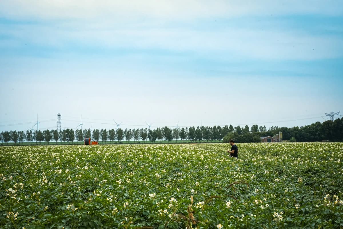 Company vision foreground 2